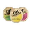 Sheba Cat Food