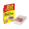 Live Catch Multi Mouse Trap Small