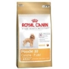 Royal Canin Adult Poodle 30 1.5kg