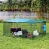 Outdoor Run For Young Animals With Protective Net 6 Elements Of 58 &times; 38 Cm
