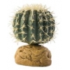 Exo Terra Desert Plant- Barrel Cactus Small