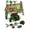 Terrarium Tropical Starter Kit 12 Piece